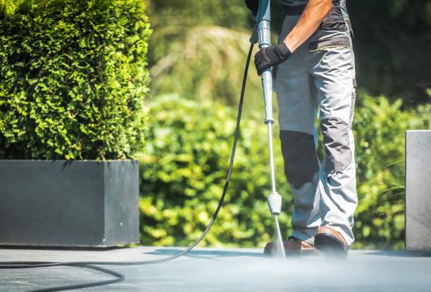 Pre-Holiday Cleaning in Ivyland, PA